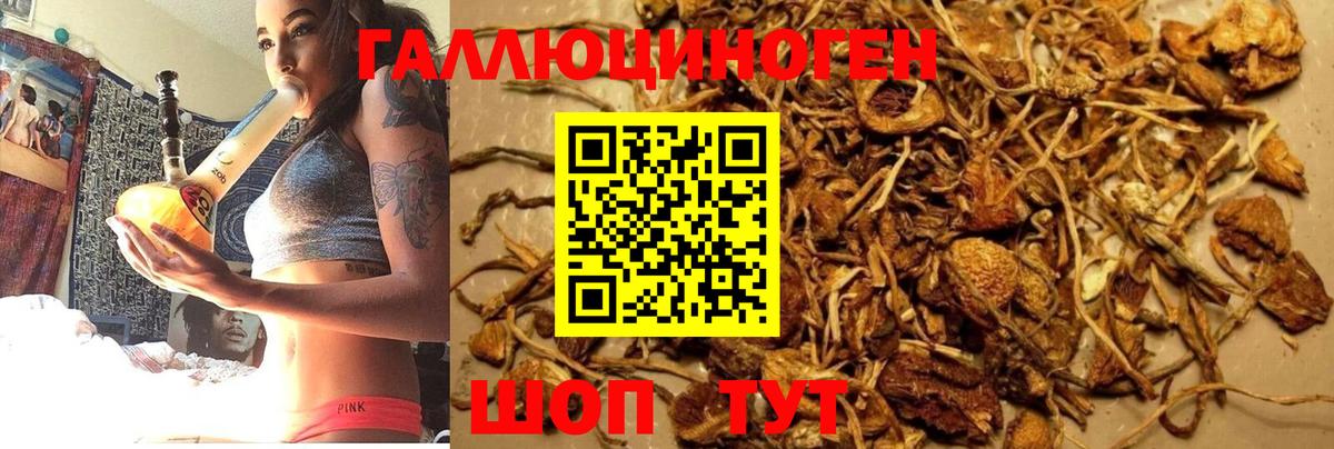 Галлюциногенные грибы прущие грибы  Галлюциногенные грибы MAGIC MUSHROOMS  Вход с VPN  Красноармейск 
