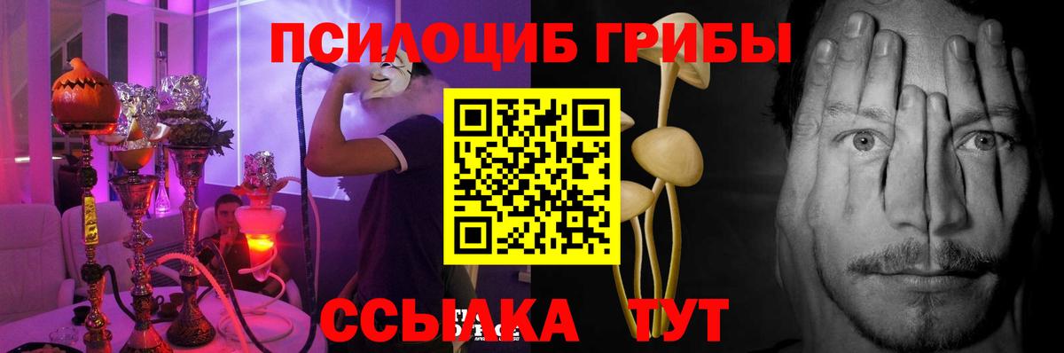 Псилоцибиновые грибы Psilocybine cubensis Красноармейск